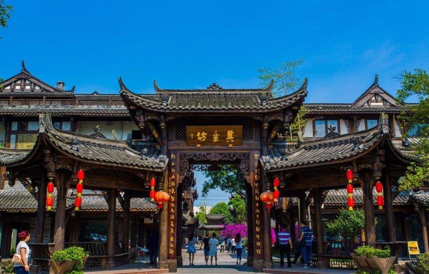 植物大战僵尸17